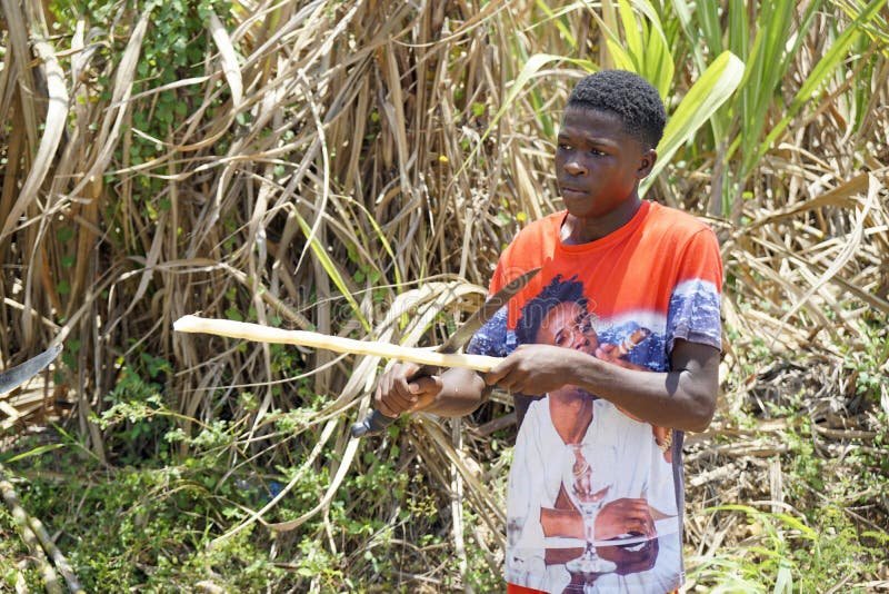 Sugar rush - Jak na výhry v automatu Sugar Rush: Kompletní průvodce